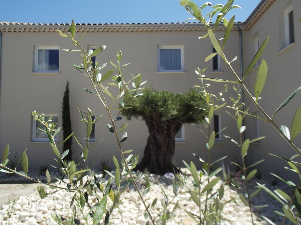 Le Domaine Des Oliviers Hotel Pierrelatte Exterior photo